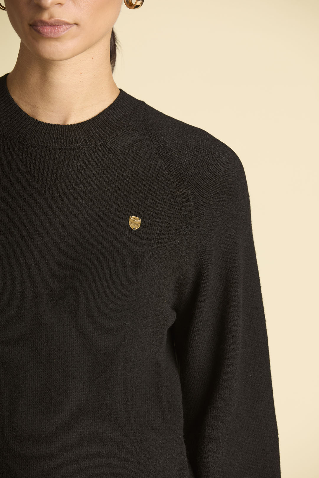 detail Svetr maglia girocollo 252MA1593DL00909