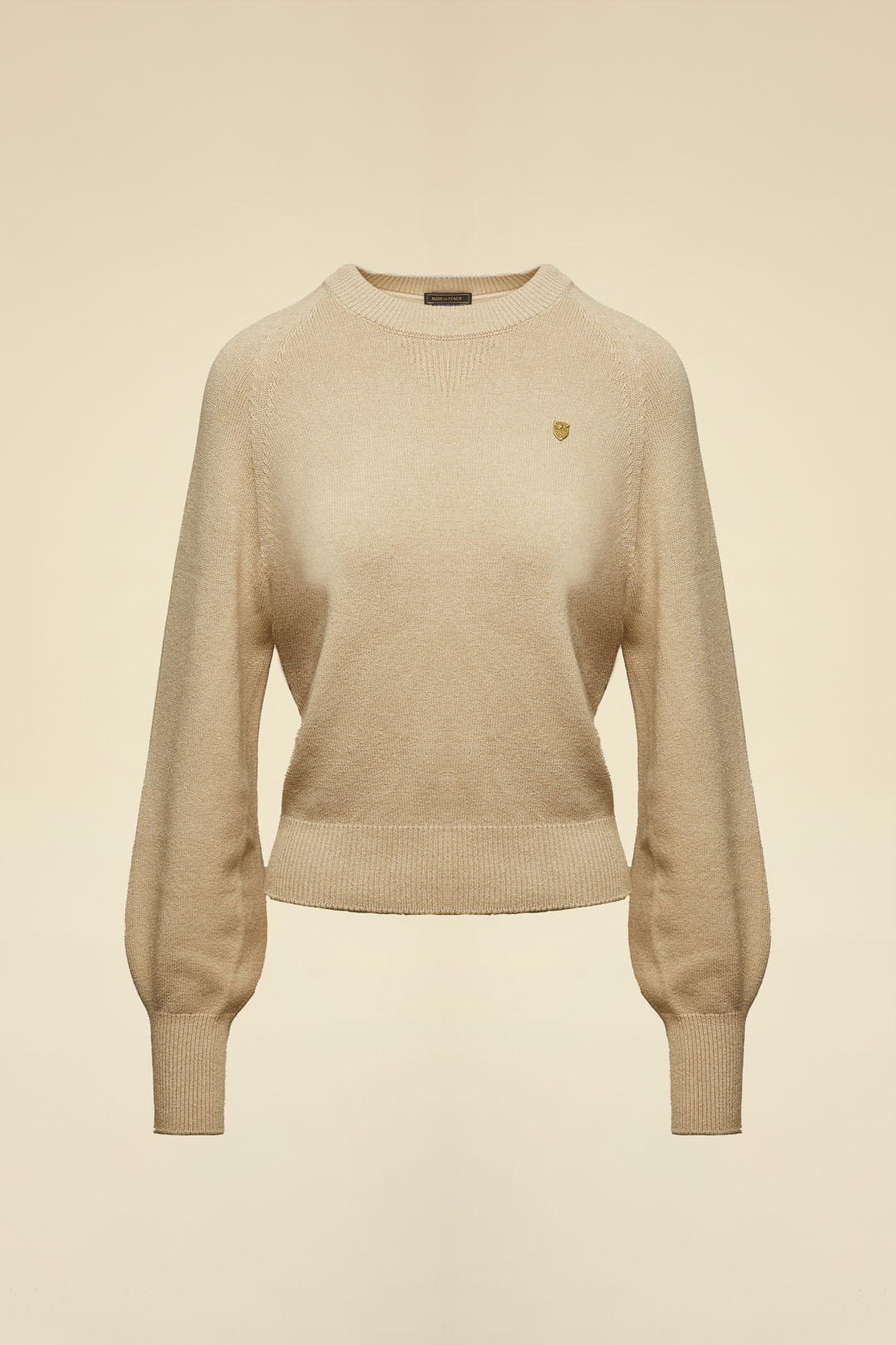 detail Svetr maglia girocollo 252MA1593DL00909