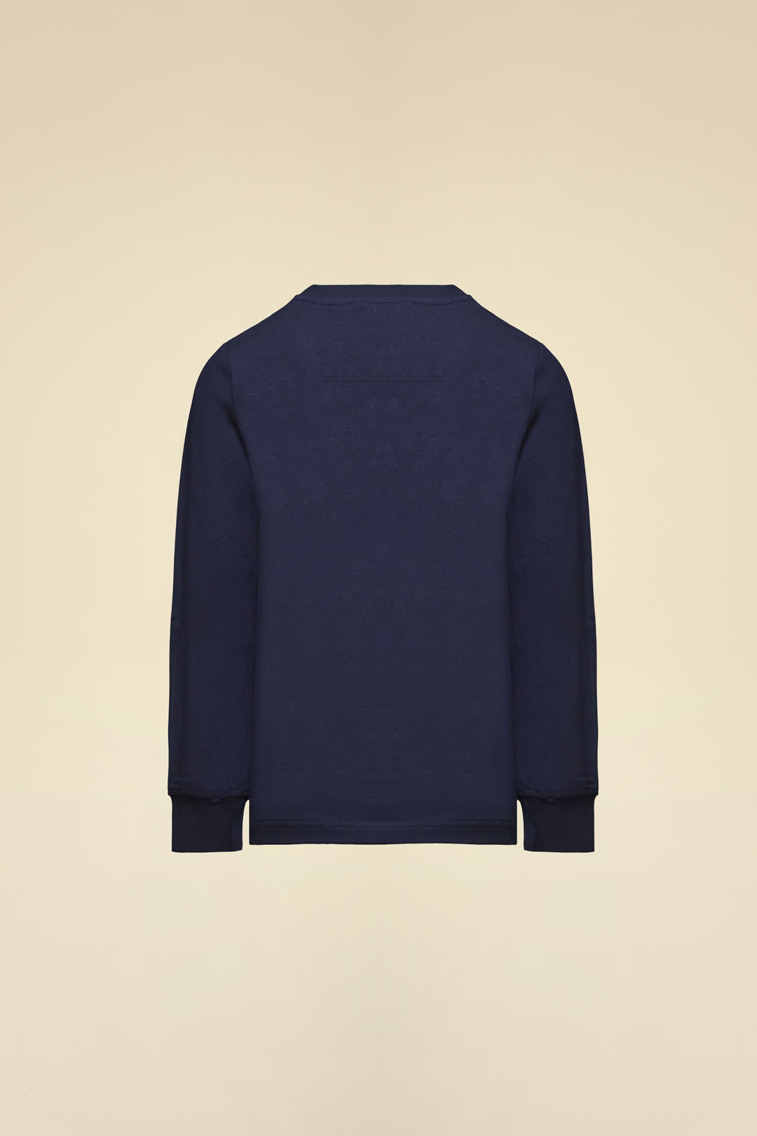 detail Tričko t-shirt m.l. 252TS0046AJRJ665